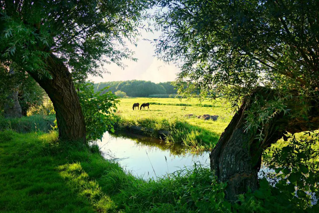 Intern salderen in het planspoor verder ingeperkt