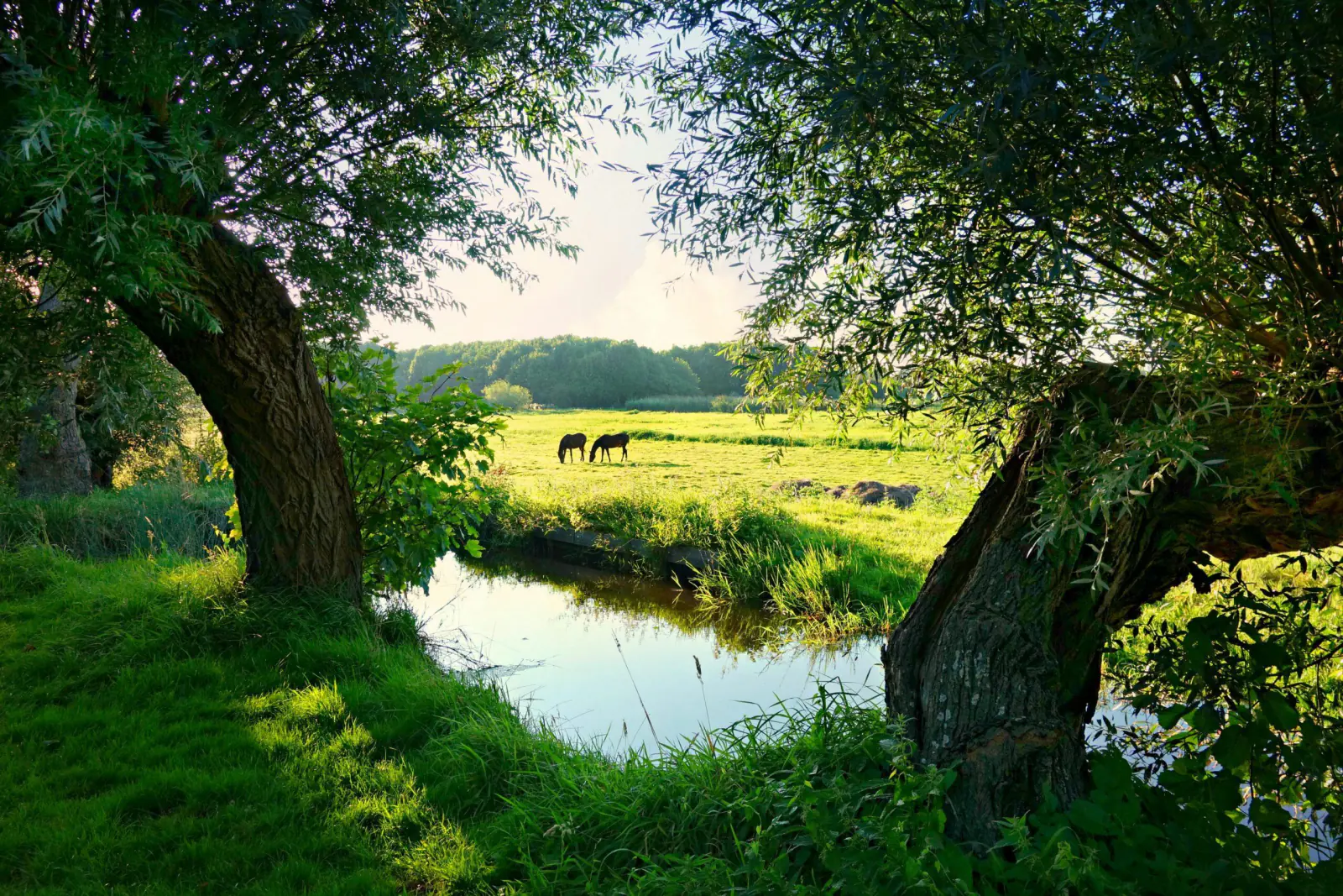 Natuur en landschap binnen de fysieke leefomgeving